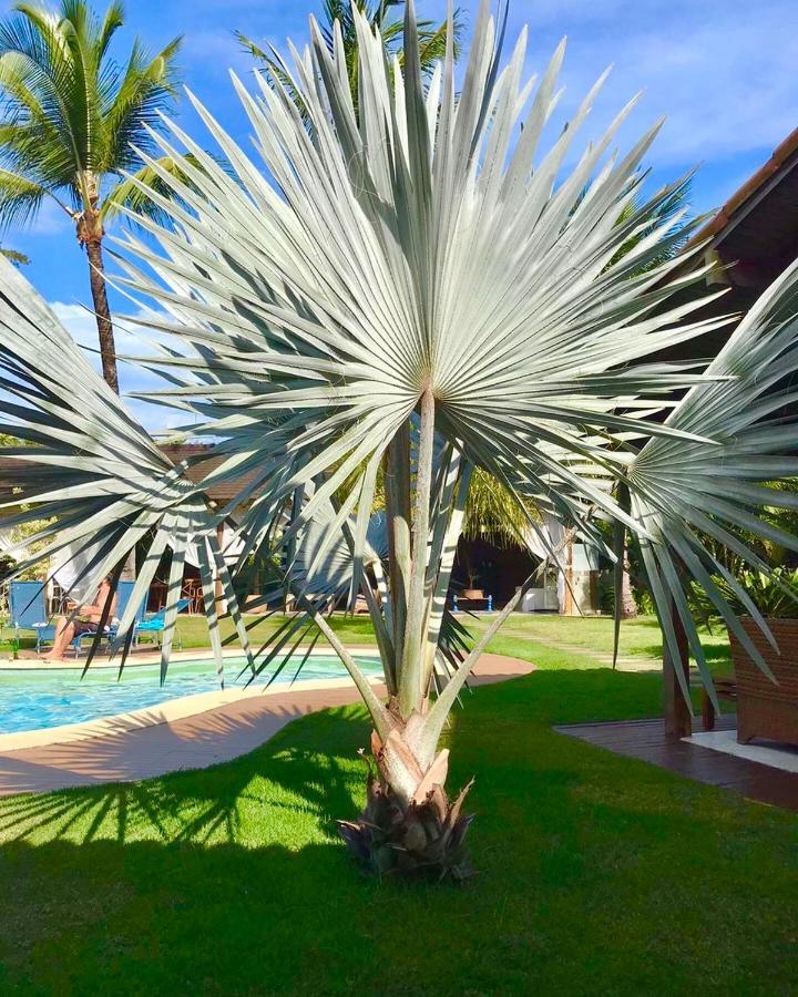 Pousada Villa Palmeira Azul Porto Seguro Buitenkant foto